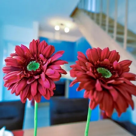 Flockengrund S4ao شقة كوكسهافن